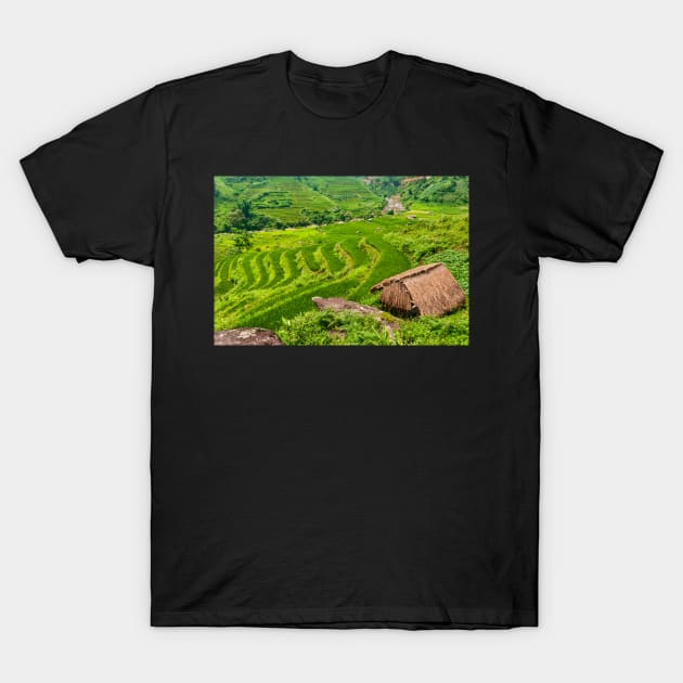 Rice Terraces. T-Shirt by bulljup